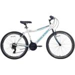 26" Ascent Mountain Bike