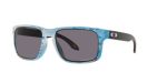 Oakley Holbrook Polarized