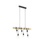 Eurolux - Townshend Pendant 6LT Black