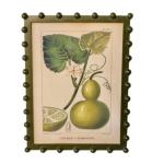 Bobble Framed Fruit Wall Art Bottle Gourd