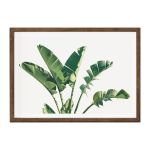 Banana Leaf I Art Print - A3