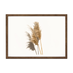 Pampas Grass III Art Print - A4