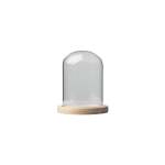 Glass Dome With Pine Base - 9X15CM