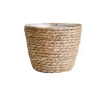 Flower Pot Cattail Sml
