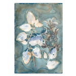 Botany Blue 10 Art Print - A1 No Frame Print Only