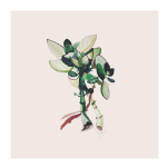 Bouquet Pink Art Print - A4 297 X 210MM