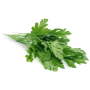 Parsley Flat Leaf 12CM Pot