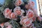 Relais & Chateaux Rose 5LT