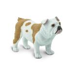 Bulldog By