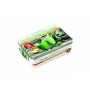 The Little Box Of Healthy Green Smoothies - Powerful Drinks To Feel Great   English German Cards