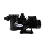 Pool Pump And Motor Quality Swimflo 2 1.1KW