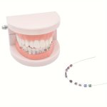 Stainless Steel Temporary Tooth Decoration Kit With Arch Wires Brackets & Ligature Ties - Ideal For Dental Students & Orthodonti