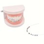 Stainless Steel Temporary Tooth Decoration Kit With Arch Wires Brackets & Ligature Ties - Ideal For Dental Students & Orthodontist Practice Props