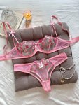 Floral Embroidery Lingerie Set Mesh Unlined Bra & Mesh Panty Women's Sexy Lingerie & Underwear