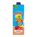 Clover Tropika Eazy Dairy Blend Tropical 1L