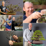 Advanced Bonsai Classes 23 & 24TH September Port Elizabeth - Saturday 23RD September 13H30 - 17H30