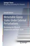 Metastable Glassy States Under External Perturbations - Monitoring The Effects Of Compression And Shear-strain Hardcover 1ST Ed.