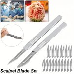 2PCS Handle Surgical KNIVES+10 Blades 11 23 Carbon Steel Surgical Knives Dly Practical Knife Cutting Tool Pcb Repair Animal Surg