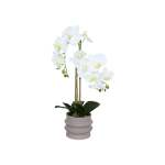 Real Touch Orchid In Ripple Pot