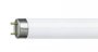 230VAC| 13W| Cool White| Frosted| 900MM 3FT | LED T8 Tube