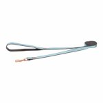 Rogz Urban Classic Xlarge Dog Lead - Turquoise Moon Waggs Online Pet Shop