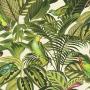 Freundin Tropical Parrot Wallpaper Green/cream Rasch 439533