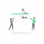 BPT Video Intercom Entry Panel Lhs V 01