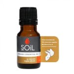 Organic Ginger Essential Oil
