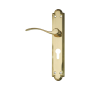 Classic Lever Handle On Back Plate