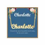 Ldurian Custom Name Necklace Charlotte Name Plate Pendant Necklace Pre Gifts Charm Necklaces Jewelry For Birthday Anniversary