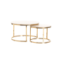 Set Of 2 Luxury Coffee Tables