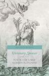 Visionary Spenser And The Poetics Of Early Modern Platonism Hardcover