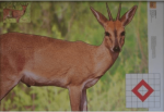 Target Animal 1000X700 A0 Duiker