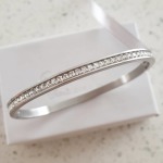 Cailin Cz Bangle Stainless Steel Clip Open Hinge Bangle Inside Diameter 5.5CM