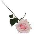 Rose Stem 75CM - L pink