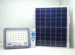 Solarix Jortam 100W Solar Flood Lamp With Solar Panel