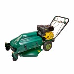 Talon 13 Hp 389 Cm Petrol