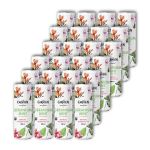 - Geranium Mint Sparkling Ice Tea Case 24 X 300ML