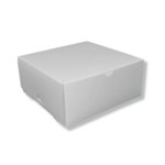 Cake Box 10X10X6