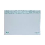 Tidy Files Extra Heavy Duty + Flaps + Clip 40MM Pack 25