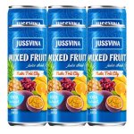 Jussvina 100% Natural Mixed Fruit Juice 6X330ML