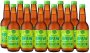 Kombucha Buchu Babe X 12