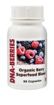 Dna - Organic Berry Superfood Blend 90 Capsules
