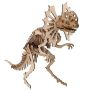 - 3D Wooden Model Dinosaurs Ceratopsier Raptor Junior