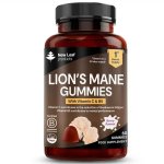 Lion’s Mane 60 Gummies