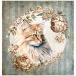 FSC2384 Printed Blanket Assorted