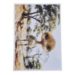 Deco Print Paper Ostrich 2 A4