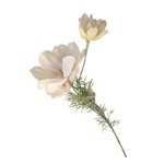 Soft Peach Garden Cosmos 70CM