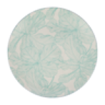 Pad Printed Dinner Plate 26.5CM Colour May Vary