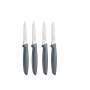 4 Piece Plenus Vegetable & Fruit Knife Set Grey